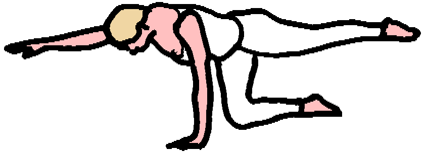 Pilates Spinal Extension Exercises
