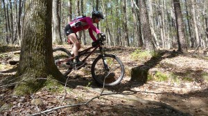 Mountain biking local trails mountain biking