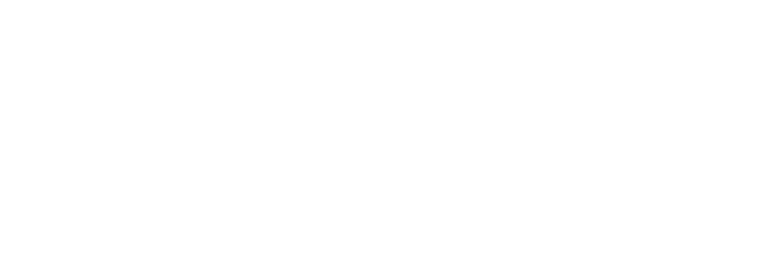 RaderCo_logo_white